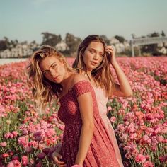 two young women standing in a field of flowers with one holding the other's hair