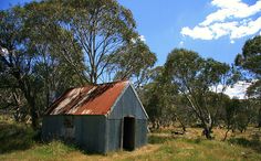 an old shed sitting in the middle of a grassy field with trees and bushes around it