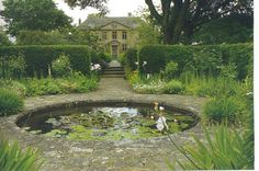 a pond in front of a house surrounded by greenery and bushes with two people standing on it