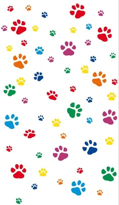 colorful paw prints on a white background