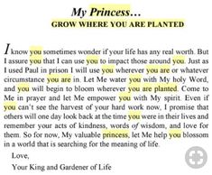 a letter written to someone about the princess