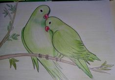 two green birds sitting on top of a tree branch next to each other with their beaks touching