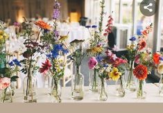 several vases filled with different types of flowers on a table at a wedding reception