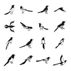 birds silhouettes set on white background