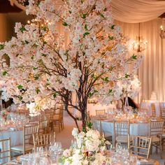 the centerpieces are decorated with flowers and branches