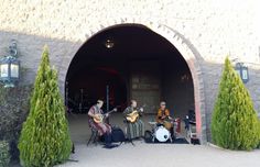 three people are playing instruments in front of an entrance to a building with trees on either side