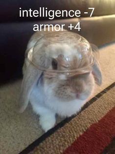 a small rabbit wearing a plastic cone on it's head with the caption inteliligence - 7 armor 4