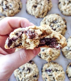 a person holding a chocolate chip cookie in their hand