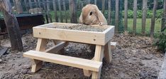 a rabbit sitting in a wooden planter on top of a bench