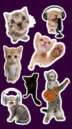 stickers with cats and music instruments on them