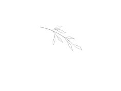 a black and white drawing of a branch