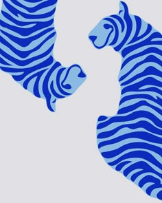 two blue zebras facing each other in the same direction on a light gray background