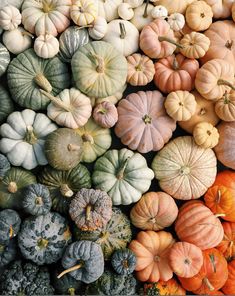 many different types of pumpkins on display