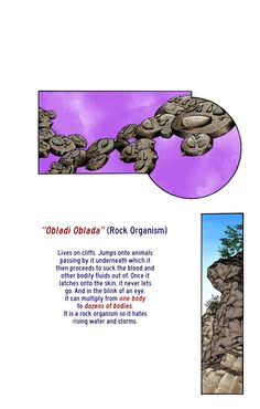 an open book with pictures of rocks and trees in the middle, and text below it