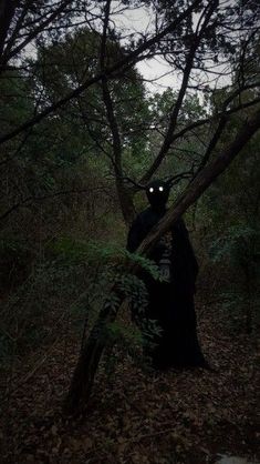 a person in a black cloak with glowing eyes hiding behind some trees and leaves at night