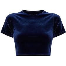 Off White Crop Top, Blue Velvet Top, Champagne Shirt, Velvet Crop Top, Short Sleeve Crop Top, Velvet Shirt, Velvet Top, Crop Top Outfits