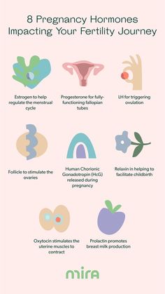 Pregnancy Hormones Impacting Your Fertility Journey Getting Pregnant Tips, Fertility Awareness, Ivf Success, Fertility Diet, Pregnancy Hormones, Pregnancy Guide