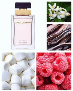 Dolce And Gabanna The Only One, Dolce And Gabbana The Only One Perfume, Dolche Gabana, Dolce Gabbana Perfume, Dolce And Gabbana Fragrance, Dolce And Gabbana Perfume, Perfume Organization