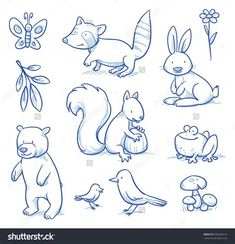 various animals and birds drawn in blue ink on white paper, including an owl, squirrel,