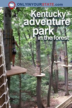 the kentucky adventure park in the forest is open for kids to play and go on