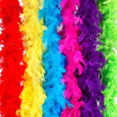 a rainbow colored feather boa on a white background