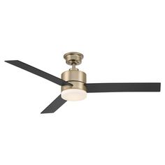 a ceiling fan that has a light on it and two blades attached to the blade