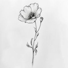 Poppy Stencil Tattoo Kit Poppy Flower Wrap Tattoo, Remembrance Day Tattoos, Single Poppy Tattoo, Lily Of The Valley And Poppy Tattoo, Poppy Drawing Tattoo, Black And White Poppy Tattoo, Poppy Line Tattoo, Cosmos Flower Tattoo October, Sunflower And Poppy Tattoo