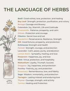 Healing Herbs Aesthetic, Herb Uses Medicine, Herbal Remedies Aesthetic, Witch Herbalism, Herbs For Focus, Herbology Witchcraft, Herbal Apothecary Recipes, Herbal Apothecary Aesthetic, Herbs For Witchcraft