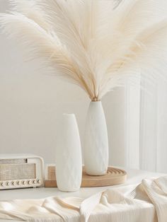 two white vases with feathers in them sitting on a table next to a radio