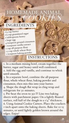 recipe for homemade animal cookies with instructions