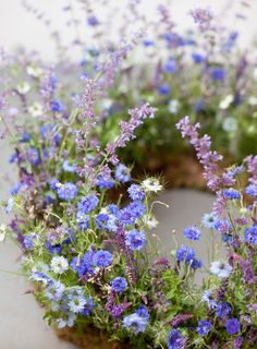 blue and white flowers are arranged in a wreath