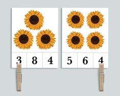 two sunflowers with numbers on each side