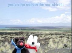 two stuffed animals sitting in the middle of a field with an ocean and blue sky behind them