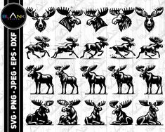 the moose silhouettes are shown in black and white, with different designs on them