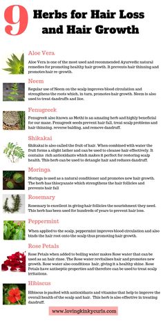 Herbs For Hair Growth, Herbs For Hair, Stinging Nettle, Ayurvedic Hair, Hair Care Regimen, Plant Nutrients, Promote Healthy Hair Growth, Healthy Hair Growth