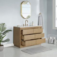 a bathroom vanity with two drawers and a mirror on the wall next to a potted plant