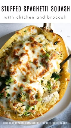 stuffed spaghetti dish with chicken and broccoli on a white plate