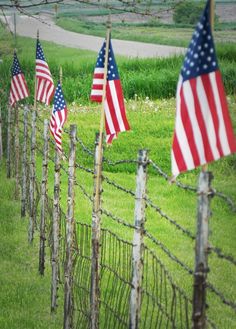 several american flags are hanging on the fence in front of a grassy area with a road