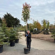 a woman standing next to a tree in a garden filled with potted plants and trees