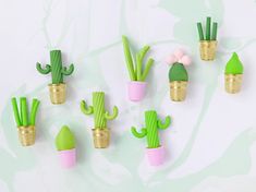 small green and pink cactus plant decorations on a white background with gold trimmings