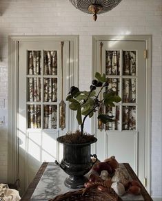 a potted plant sitting on top of a table in front of some doors and windows