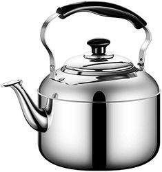 a stainless steel tea kettle with a black handle on the side and a white background