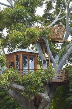 a tree house built into the side of a tree