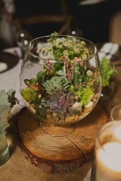 a glass bowl filled with plants on top of a wooden table