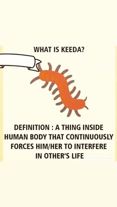 an orange worm on top of a piece of paper next to a white banner that says, what is keeda? definition a thing inside human body that contin