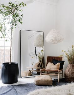 a living room filled with furniture and a large mirror on the wall next to a potted plant