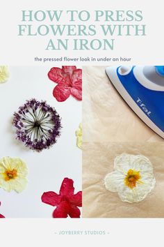 how to press flowers with an iron