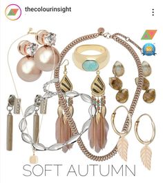 Room Full Of Clothes, Soft Autumn Jewelry, Soft Autumn Color Palette, Autumn Jewelry, Color Plan, True Autumn, Dark Autumn, Fall Color Palette, Soft Autumn