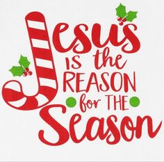 the words jesus is the reason for the season on a white background with holly berries