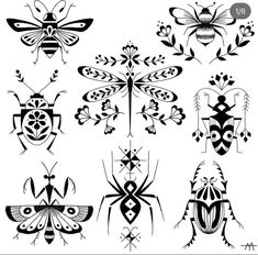 the different types of bugs and insects in black and white, each with an insect's head